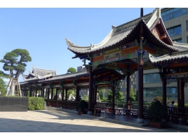 杨俊平项目展示（国际生态会议中心）
